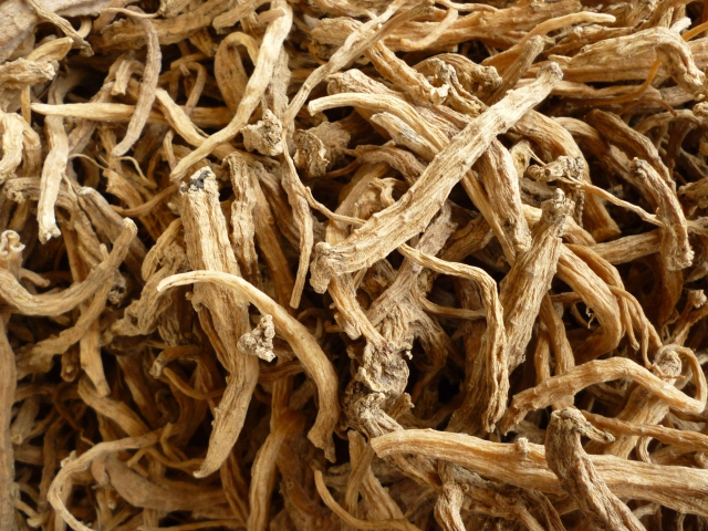 Sâm Dây Ngọc Linh Kon Tum